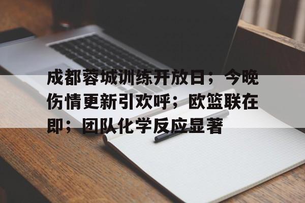 多名强援加入成都蓉城